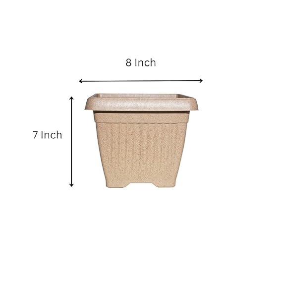 Bello eco series brown 3