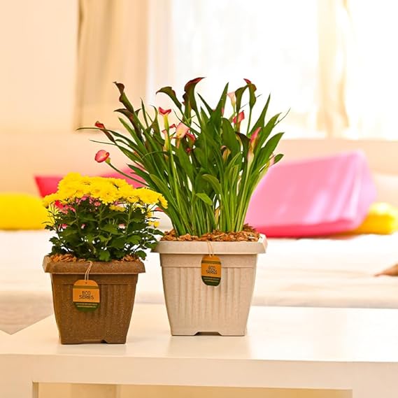 Bello eco series brown 4