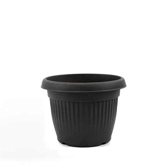 Bello round black