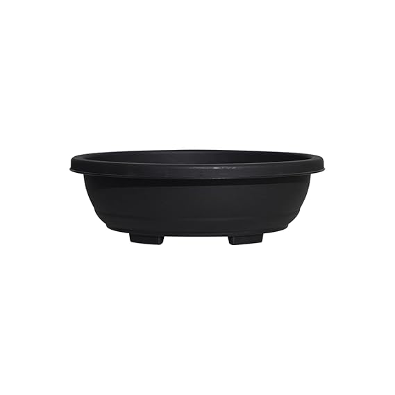 Bonsai Plants - Oval black