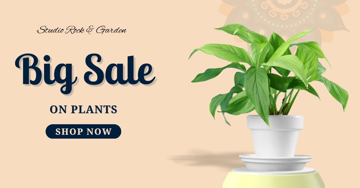 Dark Blue and Orange Modern Happy Diwali Big Sale Facebook Ad (2)