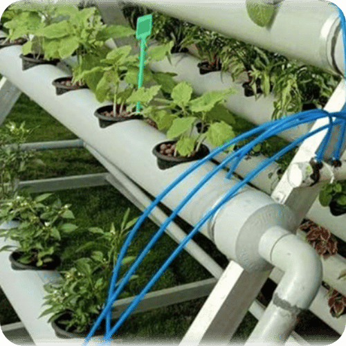 Hydroponic cultivation system