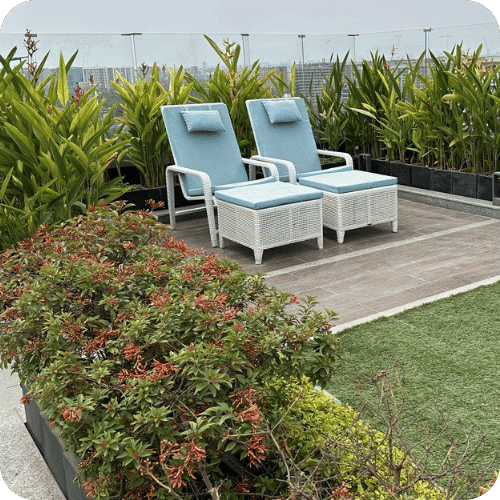 Professional landscaping services