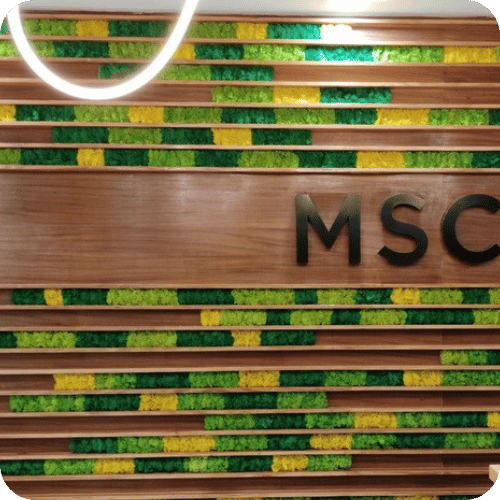 Live preserved moss wall