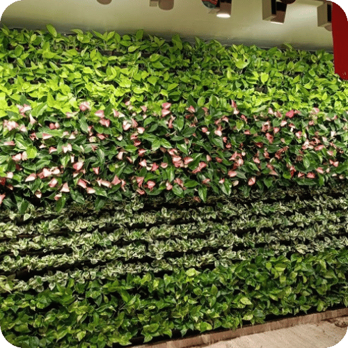 Vertical green wall installation
